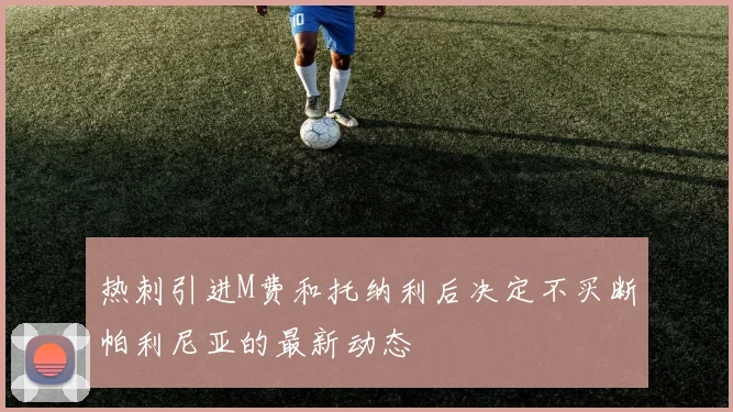 热刺引进M费和托纳利后决定不买断帕利尼亚的最新动态